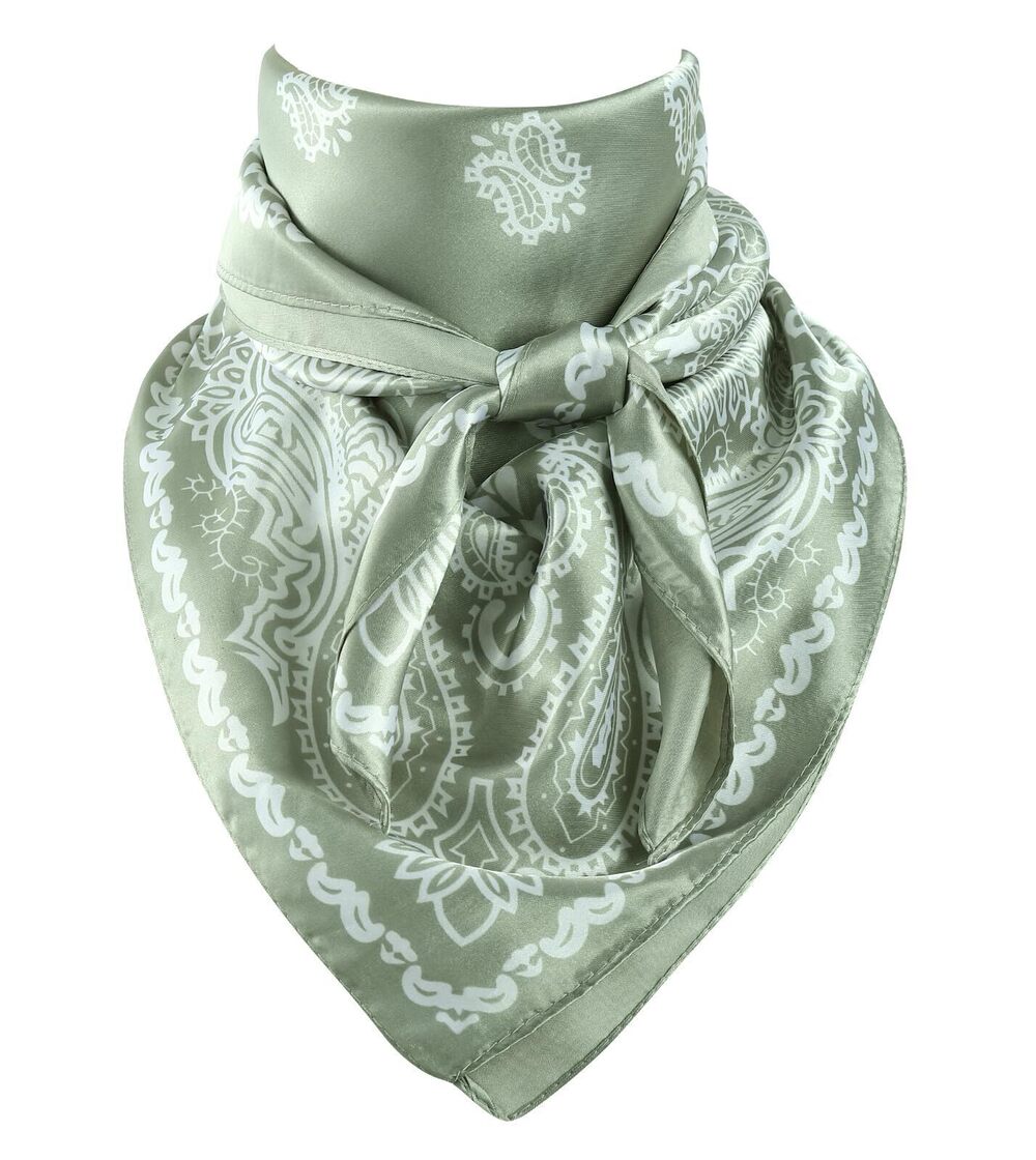 2698 Paisley Wild Rag Scarf Equestrians Neck Scarf Driving Head Bandana